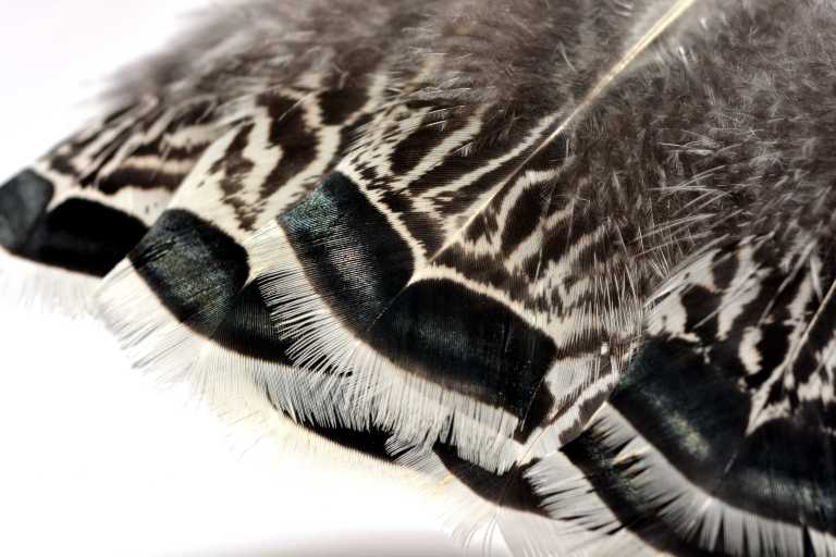 Color Calculator TURKEY COLOR