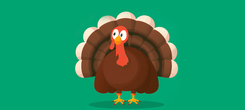 How I Befriended a&nbsp;Turkey